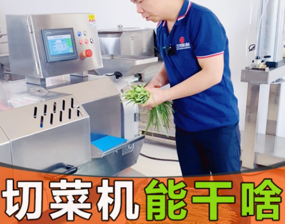 切菜機分為大中小型號，到底能切什么菜？